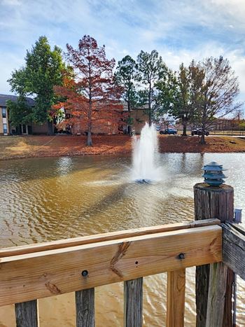 Water views